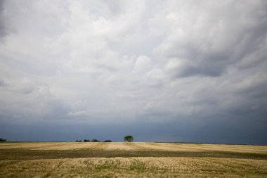 Çayır fırtına bulutları Kanada Saskatchewan yaz uyarılar