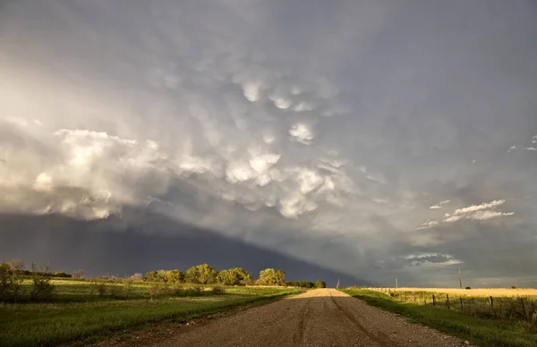 草原の嵐雲カナダ サスカチュワン州夏警告 — ストック写真