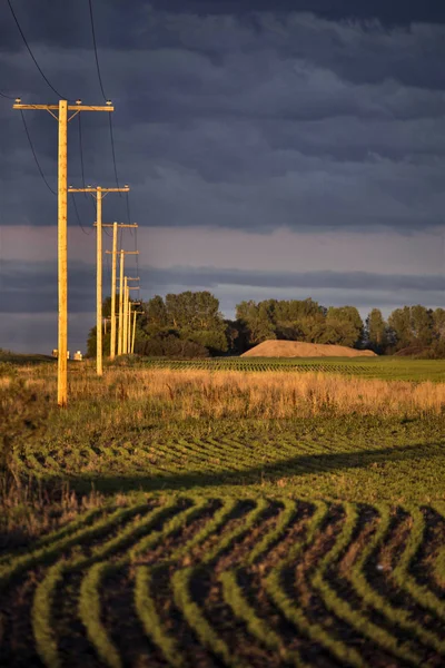Prairie Storm Clouds Canada Saskatchewan Summer Warnings — Stock Photo, Image