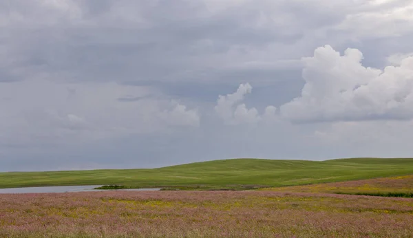 Prairie Chmury Burzowe Saskatchewan Kanada Różowy Lucerna — Zdjęcie stockowe