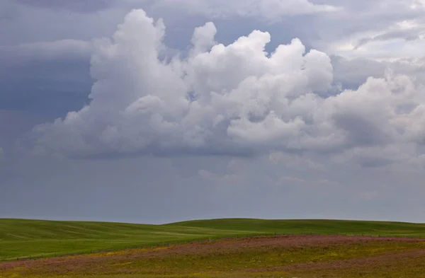 Prairie Storm Nubes Canadá Saskatchewan Rosa Alfalfa —  Fotos de Stock
