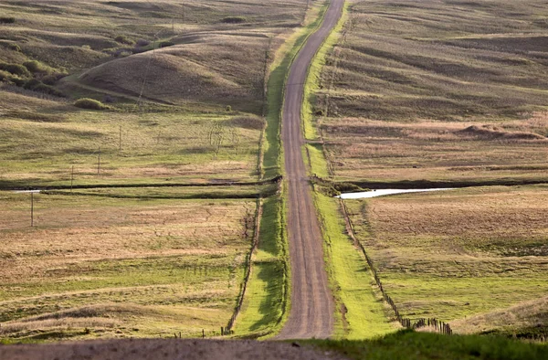 Çayır Çakıl Yol Yaz Kırsal Görünümü Doğal — Stok fotoğraf