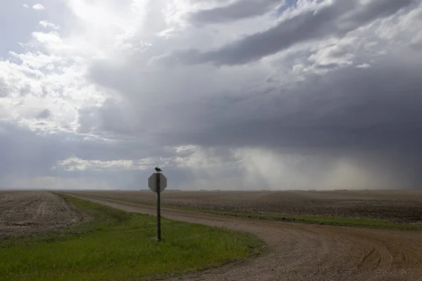 Prairie Storm Moln Kanada Saskatchewan Sommaren Varningar — Stockfoto