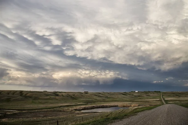 Las Nubes Tormenta Pradera Canadá Saskatchewan Advertencias Verano Imagen De Stock