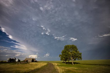 Çayır fırtına bulutları Saskatchewan Kanada Mammatus içinde