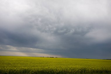 Çayır fırtına bulutları Saskatchewan Kanada Mammatus içinde