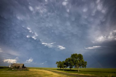 Çayır fırtına bulutları Saskatchewan Kanada Mammatus içinde