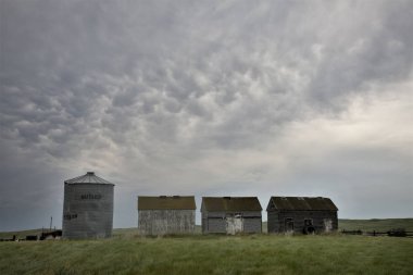 Çayır fırtına bulutları Saskatchewan Kanada Mammatus içinde