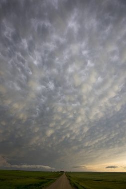 Çayır fırtına bulutları Saskatchewan Kanada Mammatus içinde