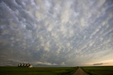 Çayır fırtına bulutları Saskatchewan Kanada Mammatus içinde