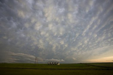 Çayır fırtına bulutları Saskatchewan Kanada Mammatus içinde