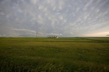 Çayır fırtına bulutları Saskatchewan Kanada Mammatus içinde
