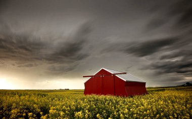 Çayır fırtına bulutları Saskatchewan Kanada kırsal ortamda