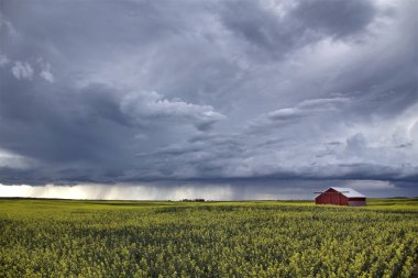 Çayır fırtına bulutları Saskatchewan Kanada kırsal ortamda