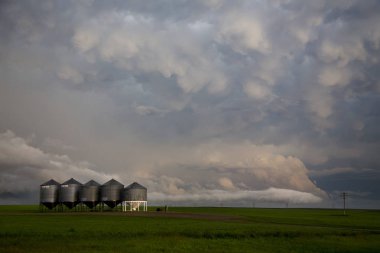 Çayır fırtına bulutları Saskatchewan Kanada Mammatus içinde