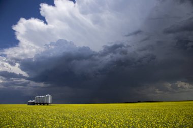 Çayır fırtına bulutları Saskatchewan Kanada kırsal ortamda