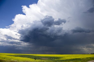 Çayır fırtına bulutları Saskatchewan Kanada kırsal ortamda