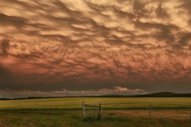 Çayır fırtına bulutları Saskatchewan Kanada Mammatus içinde