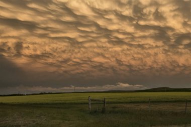 Çayır fırtına bulutları Saskatchewan Kanada Mammatus içinde