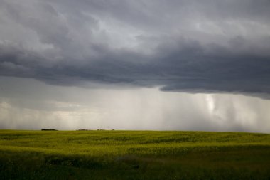 Çayır fırtına bulutları Saskatchewan Kanada kırsal ortamda