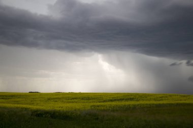 Çayır fırtına bulutları Saskatchewan Kanada kırsal ortamda