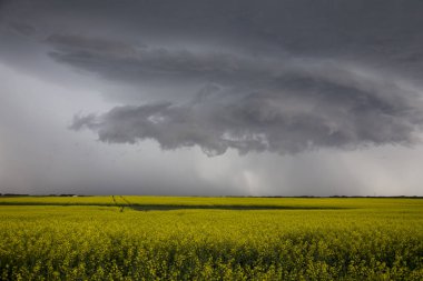 Çayır fırtına bulutları Saskatchewan Kanada kırsal ortamda