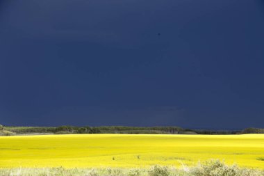 Çayır fırtına bulutları Saskatchewan Kanada kırsal ortamda