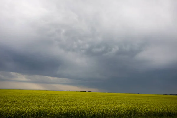 Tormenta Pradera Nubes Saskatchewan Canadá Mammatus —  Fotos de Stock