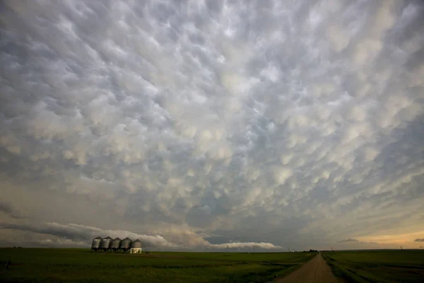 Σύννεφα Καταιγίδας Λιβάδι Στο Saskatchewan Του Καναδά Mammatus — Φωτογραφία Αρχείου