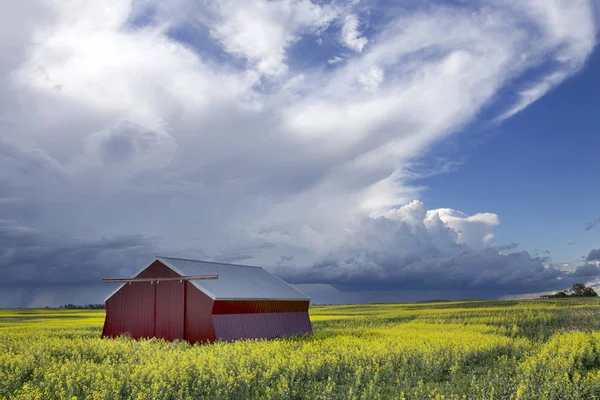 Prérijní Bouřková Mračna Saskatchewan Kanada Venkovské Prostředí — Stock fotografie