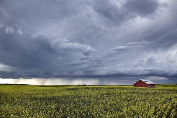Prärie Gewitterwolken Saskatchewan Kanada Ländliche Umgebung — Stockfoto