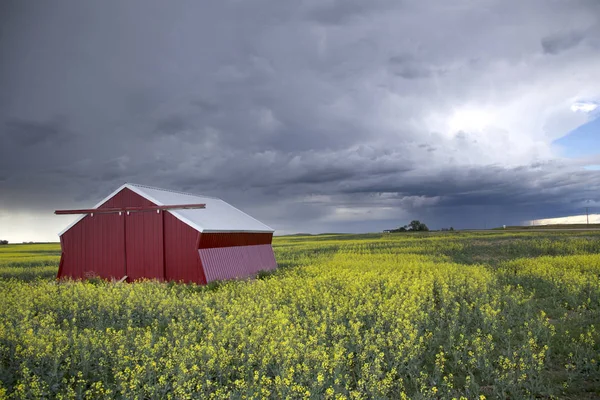 Prairie Storm Clouds Saskatchewan Canada Rural Setting — Stock Photo, Image