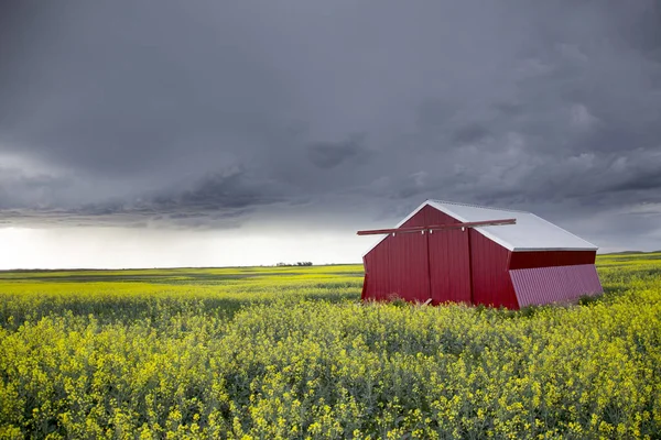 Prairie Storm Wolken Saskatchewan Canada Landelijke Omgeving — Stockfoto