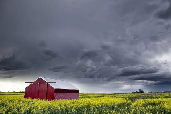 Prärie Gewitterwolken Saskatchewan Kanada Ländliche Umgebung — Stockfoto