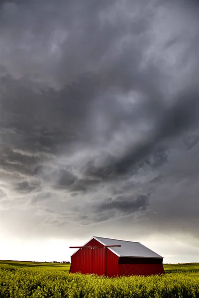 Çayır Fırtına Bulutları Saskatchewan Kanada Kırsal Ortamda — Stok fotoğraf