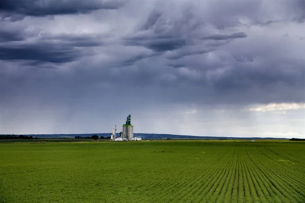 Prairie Storm Clouds Saskatchewan Canada Rural Setting — Stock Photo, Image