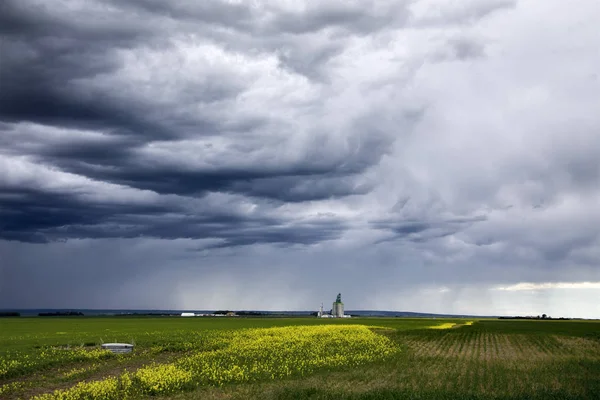 Awan Badai Padang Pasir Saskatchewan Canada Pengaturan Pedesaan — Stok Foto