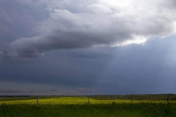 Nuvens Tempestade Pradaria Saskatchewan Canadá Cenário Rural — Fotografia de Stock