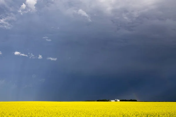 Pradera Tormenta Nubes Saskatchewan Canadá Entorno Rural —  Fotos de Stock