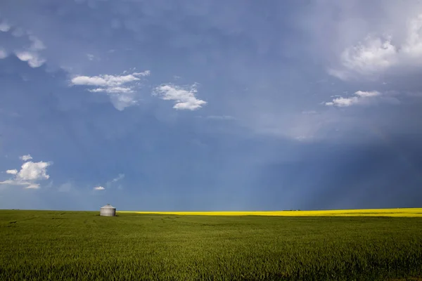 サスカチュワン カナダの田舎の大草原嵐の雲 — ストック写真