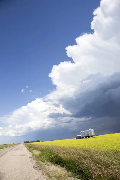 Çayır Fırtına Bulutları Saskatchewan Kanada Kırsal Ortamda — Stok fotoğraf