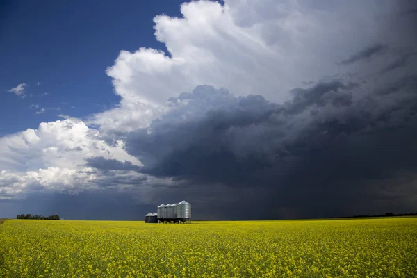 Chmury Burzowe Prairie Wiejskim Otoczeniu Saskatchewan Kanada — Zdjęcie stockowe