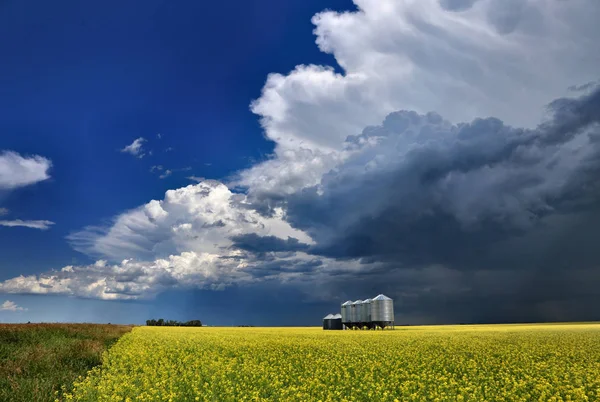 Nuvens Tempestade Pradaria Saskatchewan Canadá Cenário Rural — Fotografia de Stock