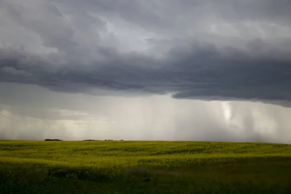 Nuages Tempête Des Prairies Saskatchewan Canada Milieu Rural — Photo