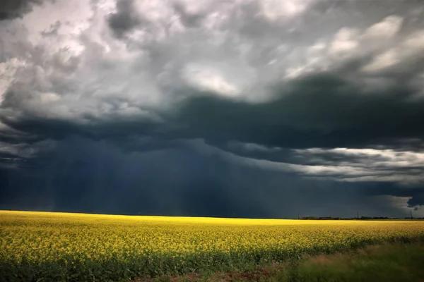 Prairie Storm Wolken Saskatchewan Canada Landelijke Omgeving — Stockfoto