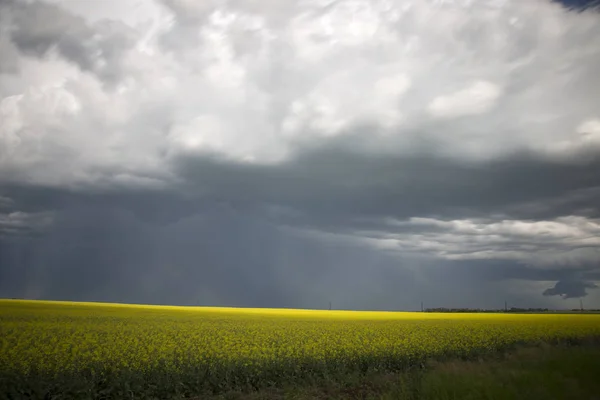 Molnen Prärien Saskatchewan Kanada Lantlig Miljö — Stockfoto