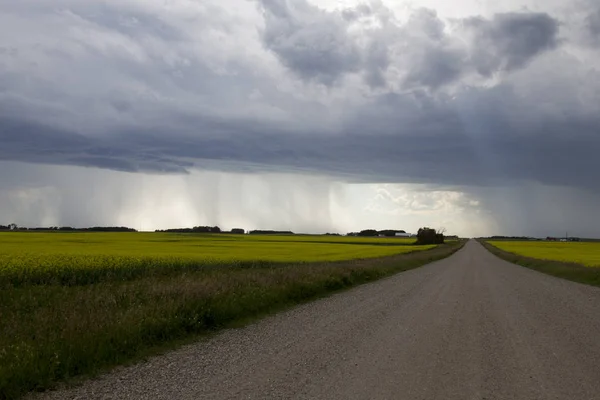 Chmury Burzowe Prairie Wiejskim Otoczeniu Saskatchewan Kanada — Zdjęcie stockowe