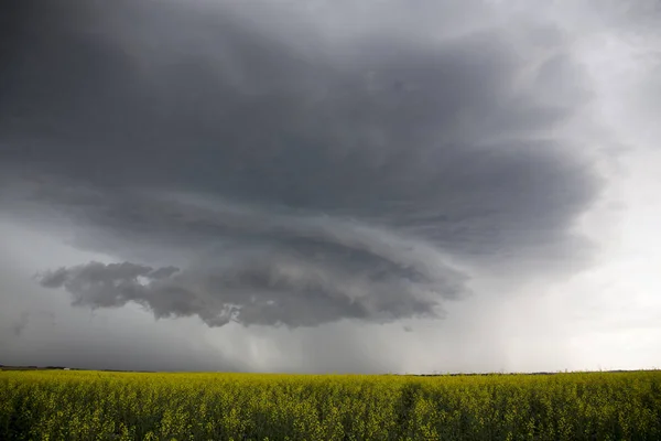 Molnen Prärien Saskatchewan Kanada Lantlig Miljö — Stockfoto