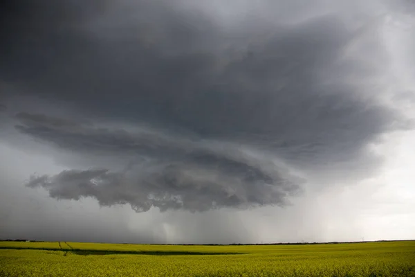 Nuvens Tempestade Pradaria Saskatchewan Canadá Cenário Rural — Fotografia de Stock