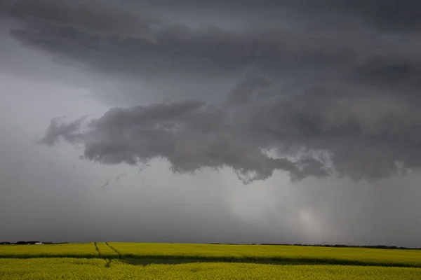 Σύννεφα Καταιγίδας Λιβαδιών Αγροτικό Περιβάλλον Σασκατσουάν Και Καναδάς — Φωτογραφία Αρχείου